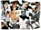 Les HOMMAGES AUX ARTISTES dans les chansons