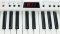 Roland AX-7